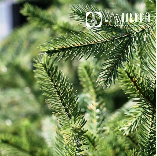 Финская искусственная интерьерная елка, высота 3 м, цвет Зеленый